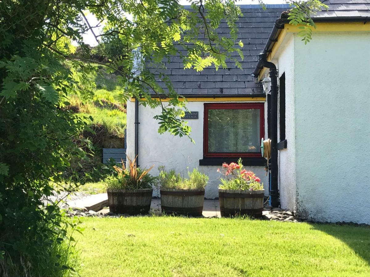 Blossom Cottage Lonmore Exteriör bild